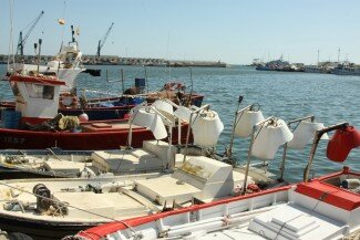 Barques al port de vilanova